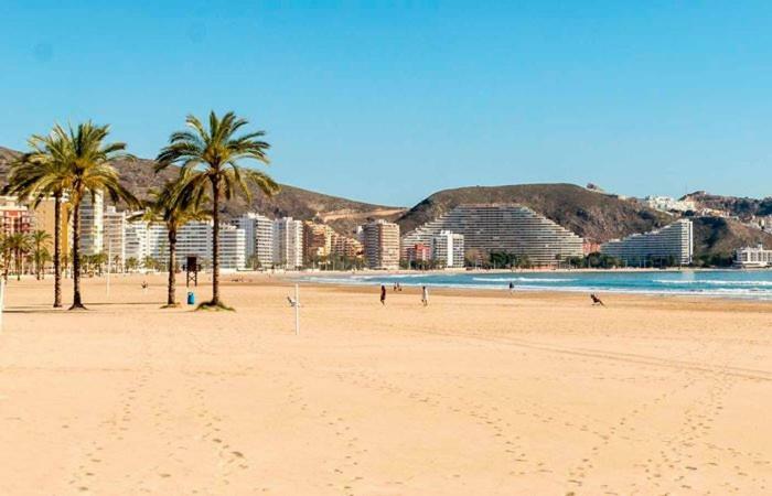 Apartamento Ensueno En Cullera Playa San Antonio Bagian luar foto